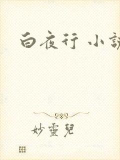 白夜行 小说