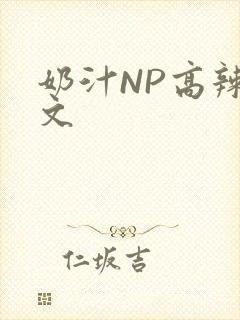 奶汁NP高辣H文