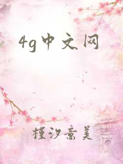 4g中文网