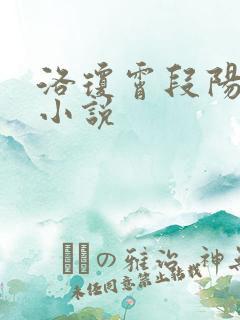 洛琼霄段阳澍的小说