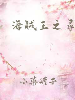 海贼王之寻亲记