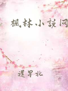 枫林小说网