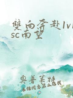 双向奔赴1v1sc南望