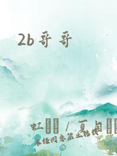 2b哥哥