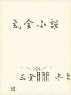 氪金小说