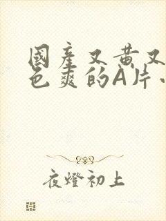 国产又黄又大又色爽的A片小说