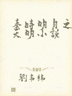 秦时明月之夜尽天明小说