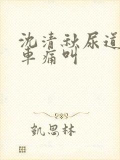 沈清秋尿道扩张车痛叫