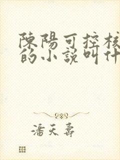 陈阳可控核聚变的小说叫什么名字