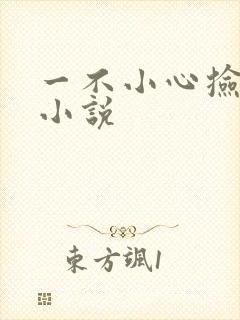 一不小心捡到爱小说