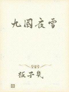 九国夜雪