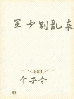军少别乱来