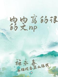 肉肉写的很细致的文np