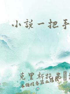 小说一把手