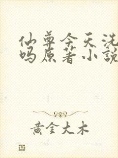 仙尊今天洗白了吗原著小说
