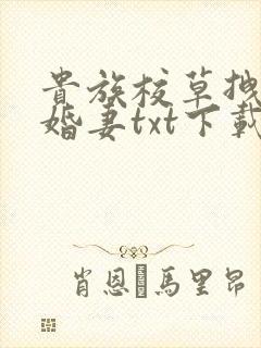贵族校草拽拽未婚妻txt下载