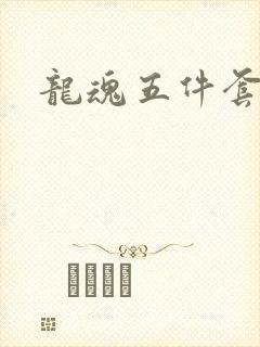 龙魂五件套