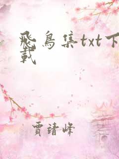 飞鸟集txt下载