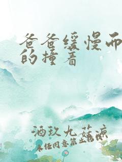 爸爸缓慢而有力的撞着