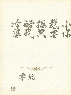 冷酷总裁小小老婆我只要你