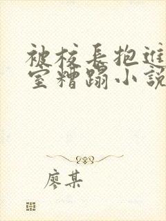 被校长抱进办公室糟蹋小说