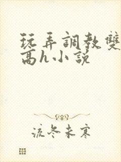 玩弄调教双胞胎高h小说