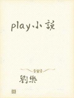 play小说