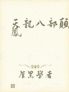 天龙八部颠龙鸾凤