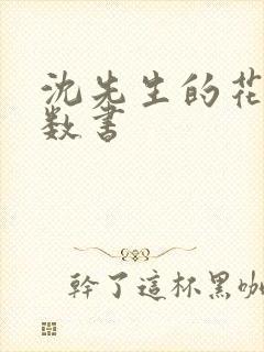 沈先生的花式调数书