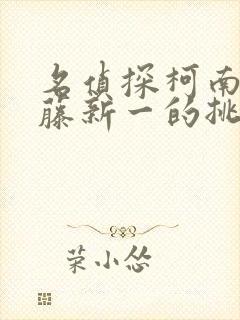 名侦探柯南给工藤新一的挑战书