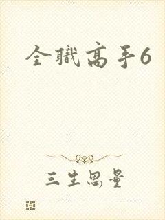全职高手6