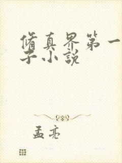 修真界第一病秧子小说