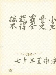 总裁霸爱小妻惹不得全文免费阅读