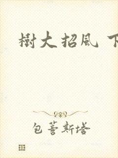 树大招风 下载
