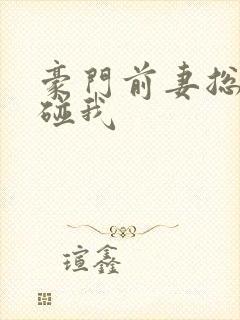 豪门前妻总裁别碰我