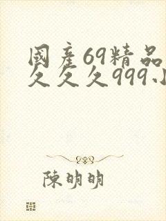 国产69精品久久久久999小说