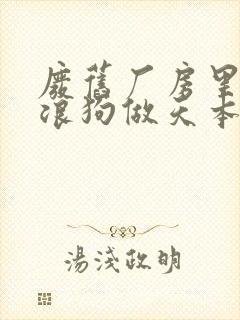 废旧厂房里和流浪狗做天本