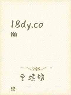 18dy.com