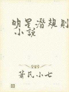 明星潜规则之皇 小说