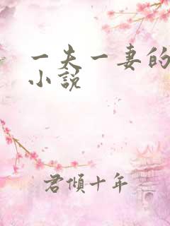 一夫一妻的玄幻小说