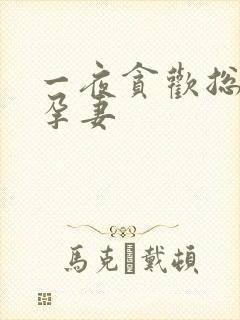 一夜贪欢总裁幸孕妻