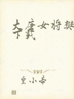 大唐女将樊梨花下载