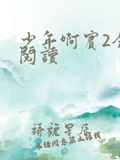 少年啊宾2全文阅读