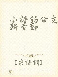 小诗的公交车最新章节