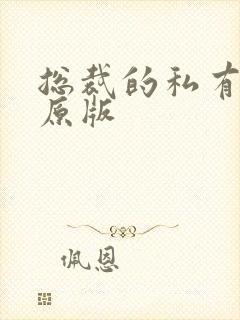 总裁的私有宝贝原版