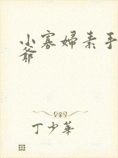 小寡妇素手擒四爷