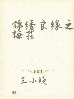 锦绣良缘之驿寄梅花