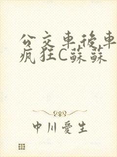 公交车后车座的疯狂C苏苏