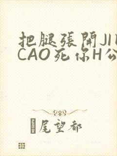 把腿张开JI巴CAO死你H公园