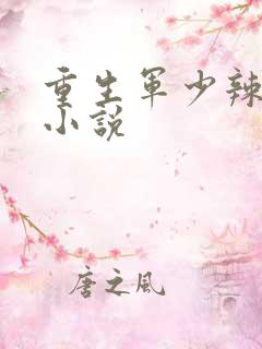 重生军少辣娇妻小说